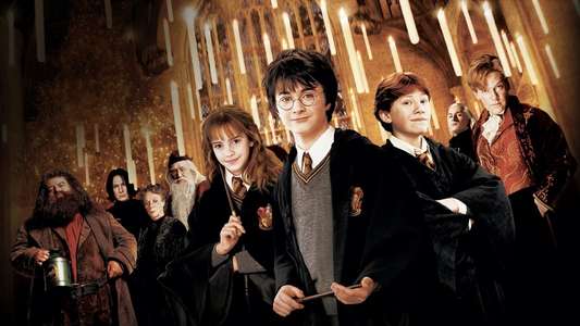 Harry Potter and the Chamber of Secrets - Backdrops
