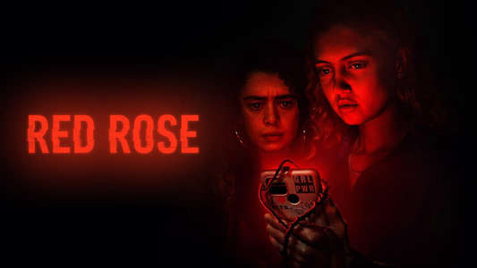 Red Rose - Backdrops