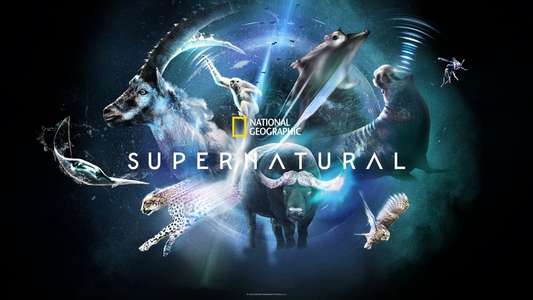 Super/Natural - Backdrops