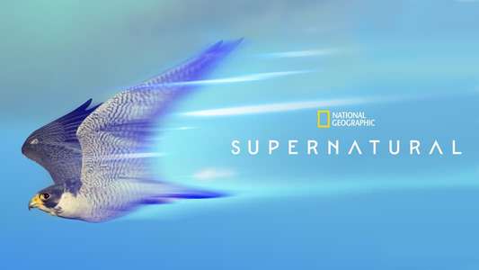 Super/Natural - Backdrops