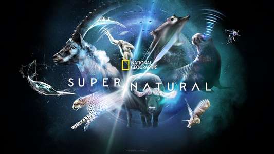 Super/Natural - Backdrops