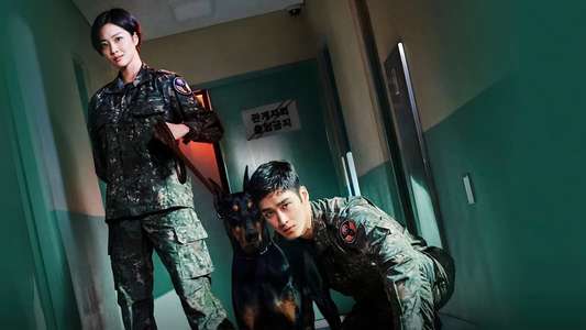 Military Prosecutor Doberman - Backdrops