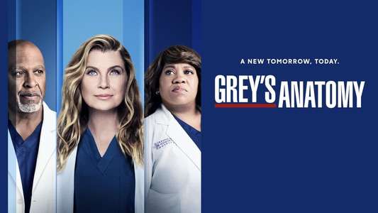 Grey's Anatomy - Backdrops