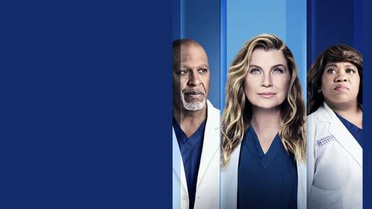 Grey's Anatomy - Backdrops