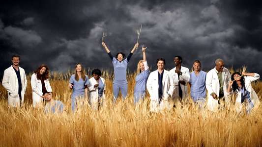 Grey's Anatomy - Backdrops