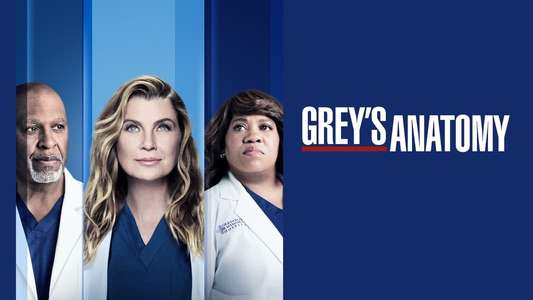 Grey's Anatomy - Backdrops