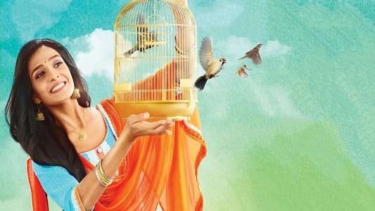 Bhagya Lakshmi - Backdrops