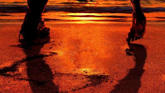 Fear the Walking Dead - Backdrops