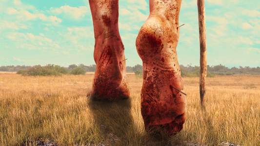 Naked and Afraid - Backdrops