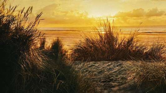 Naked and Afraid - Backdrops