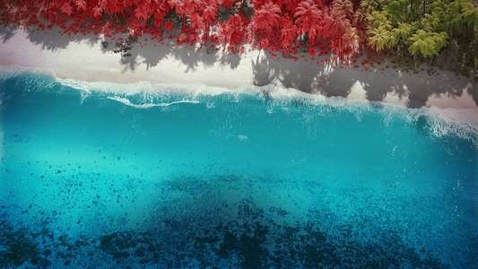 Fantasy Island - Backdrops