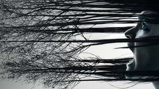 The Exorcist - Backdrops