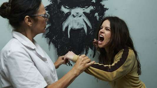 12 Monkeys - Backdrops