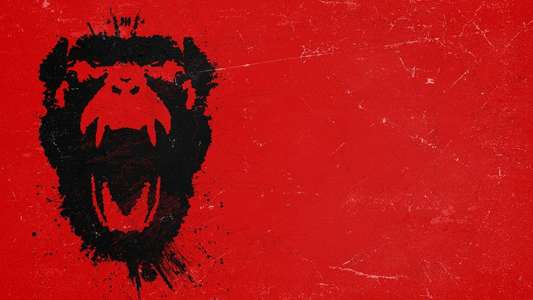 12 Monkeys - Backdrops