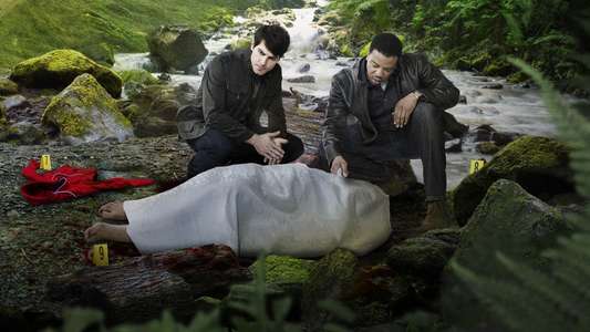 Grimm - Backdrops