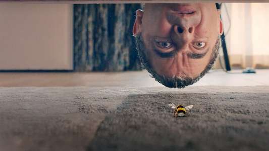 Man Vs Bee - Backdrops