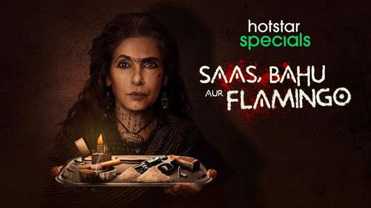 Saas  Bahu Aur Flamingo - Backdrops