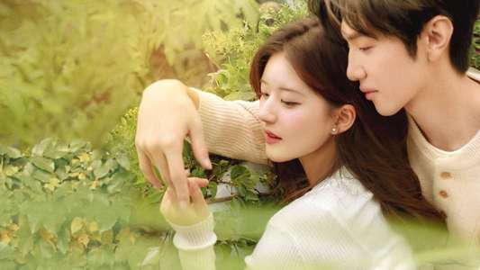 Hidden Love - Backdrops