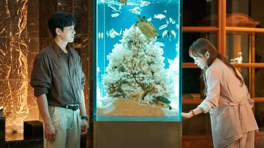 See You in My 19th Life - Backdrops