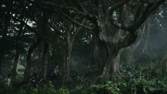 Alice in Borderland - Backdrops