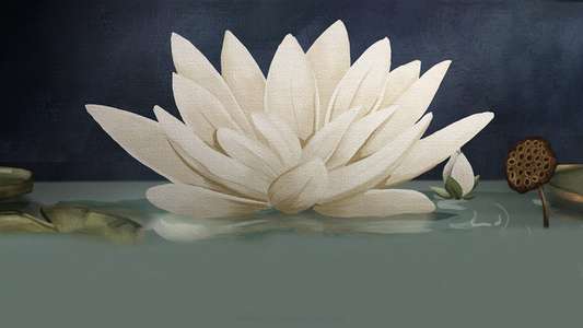 The White Lotus - Backdrops