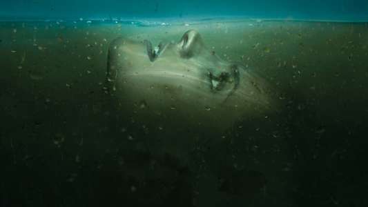 Absentia - Backdrops