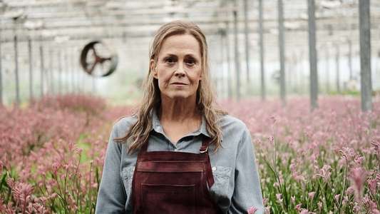 The Lost Flowers of Alice Hart - Backdrops