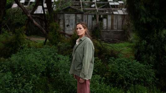 The Lost Flowers of Alice Hart - Backdrops