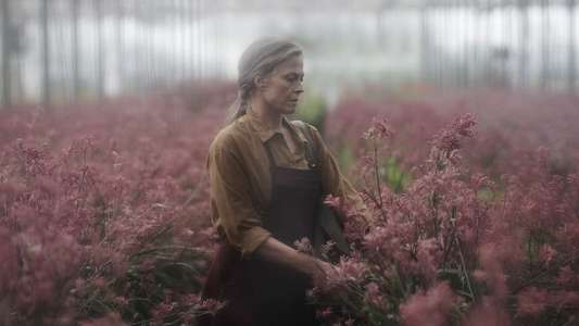 The Lost Flowers of Alice Hart - Backdrops