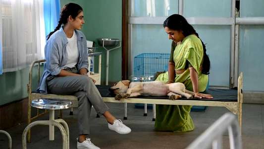 Meet Cute - Backdrops