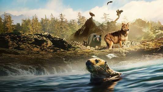Island of the Sea Wolves - Backdrops