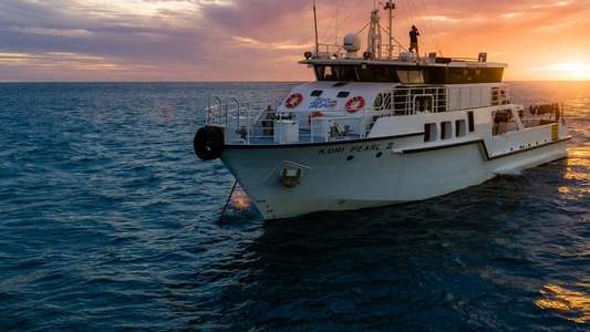Shipwreck Hunters Australia - Backdrops