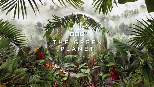 The Green Planet - Backdrops