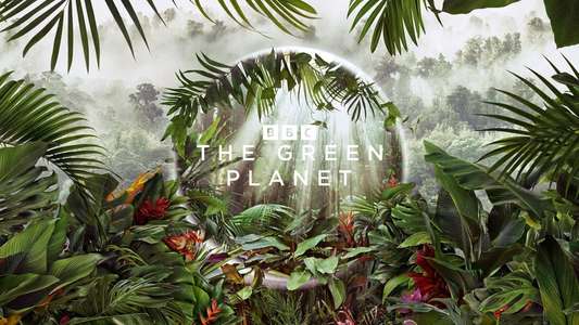 The Green Planet - Backdrops