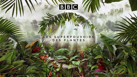 The Green Planet - Backdrops
