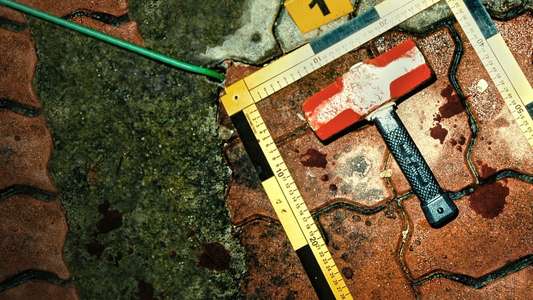 The Raincoat Killer: Chasing a Predator in Korea - Backdrops