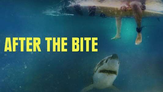 After the Bite - Backdrops