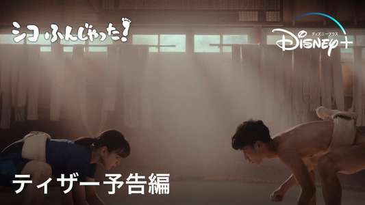 Sumo Do  Sumo Don't - Backdrops