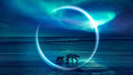 Frozen Planet II - Backdrops