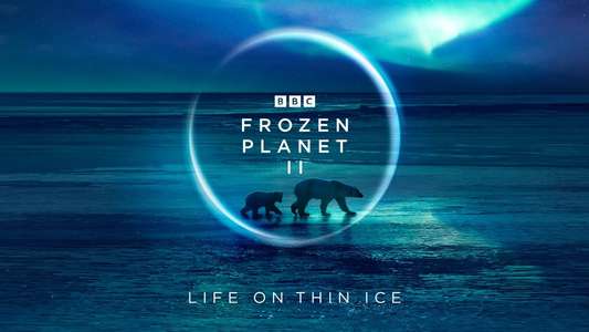 Frozen Planet II - Backdrops