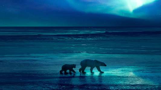Frozen Planet II - Backdrops