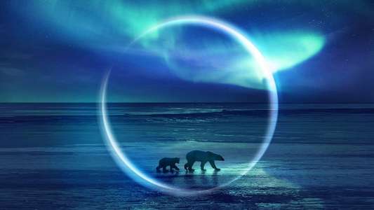 Frozen Planet II - Backdrops