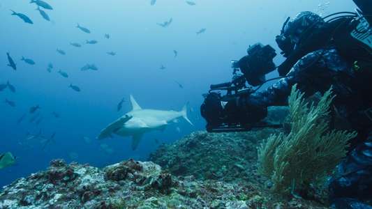 Epic Adventures with Bertie Gregory - Backdrops