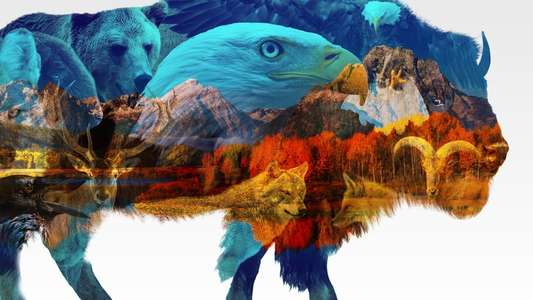 America The Beautiful - Backdrops