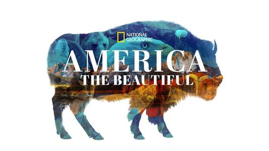 America The Beautiful - Backdrops