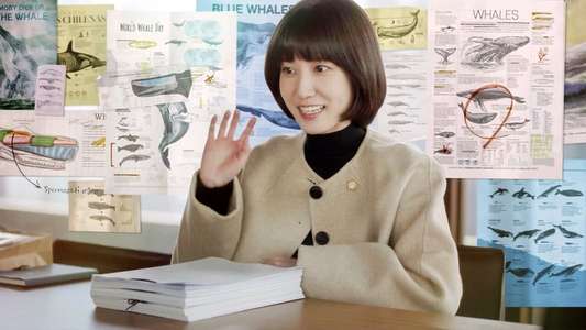 Extraordinary Attorney Woo - Backdrops