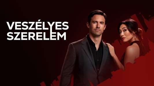 The Company You Keep - Backdrops