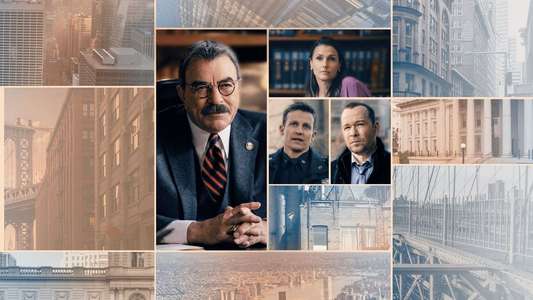 Blue Bloods - Backdrops