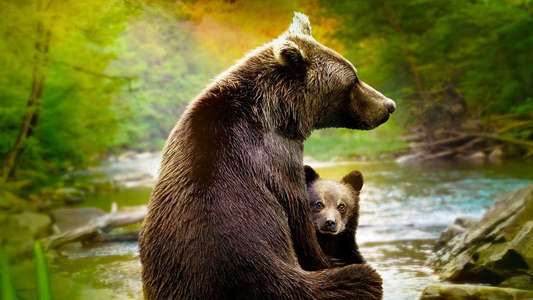 Growing Up Animal - Backdrops