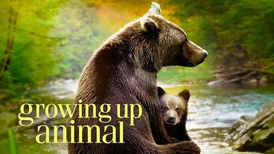 Growing Up Animal - Backdrops